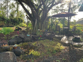 Majestic Banya tree cabin